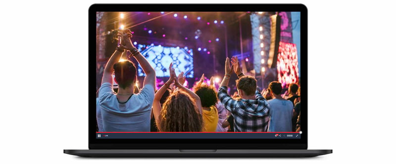 Concert audience attendees cheering at a live performance