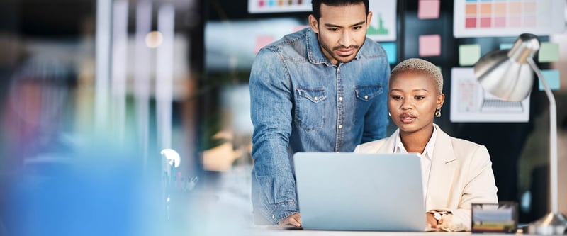 web design professionals collaborating on a project
