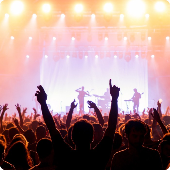 Behringier_Works-With-MSA_About