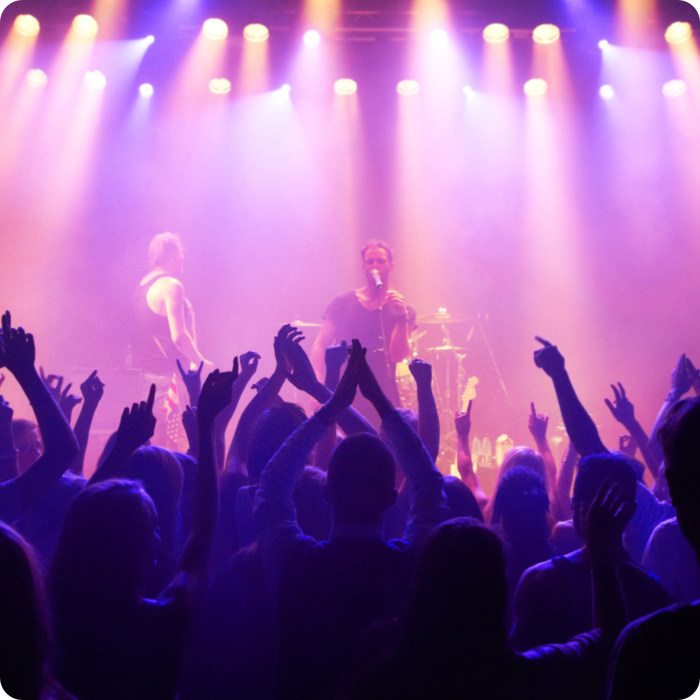 People at a rock and roll concert