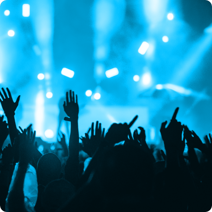 Crowd enjoying a concert