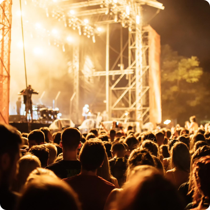 Crowd at a concert